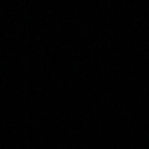 Meet your Posher, Riley